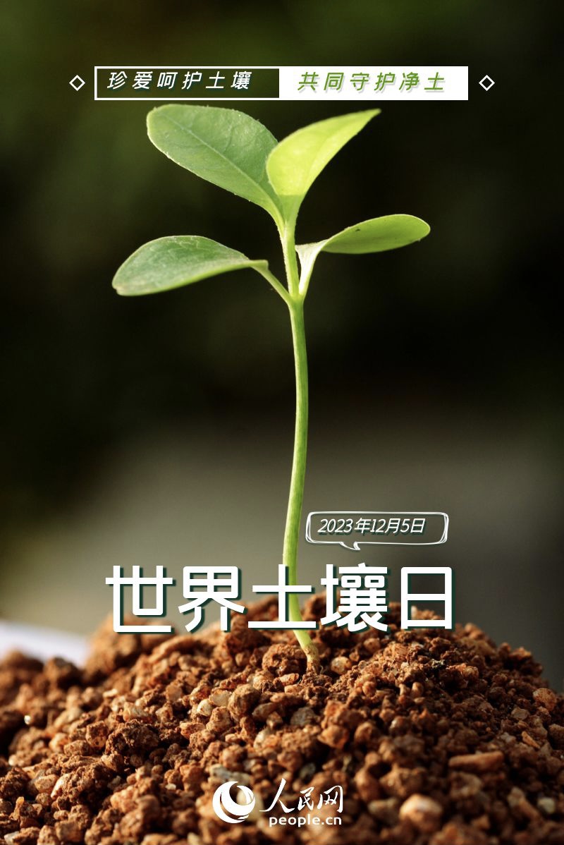 -公民网